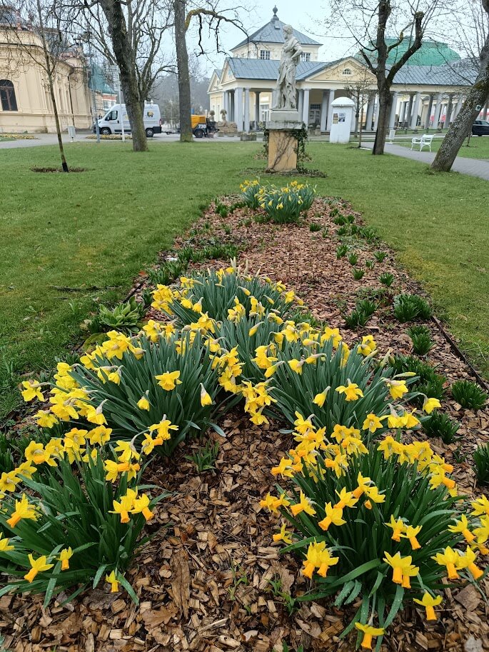 Jarní park ve Františkových Lázních během rekondičního pobytu